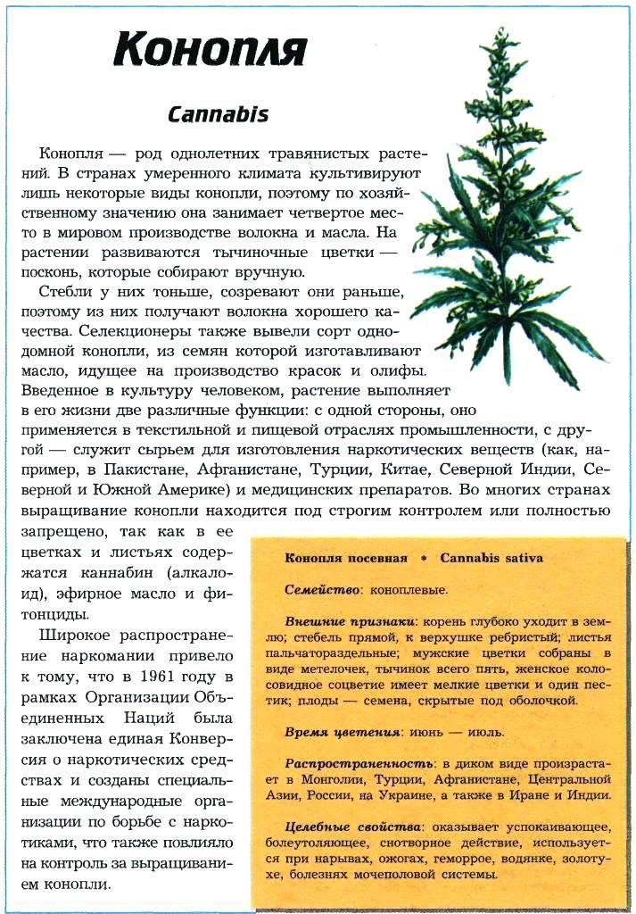 закон о марихуане в беларуси